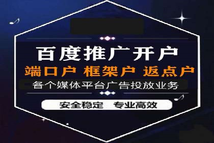 网络推广竞价策略案例分析